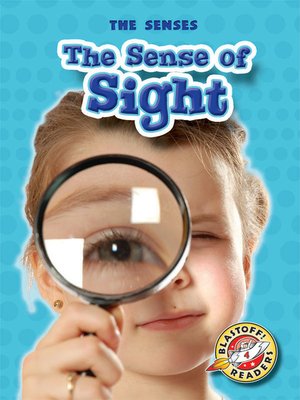 cover image of The Sense of Sight